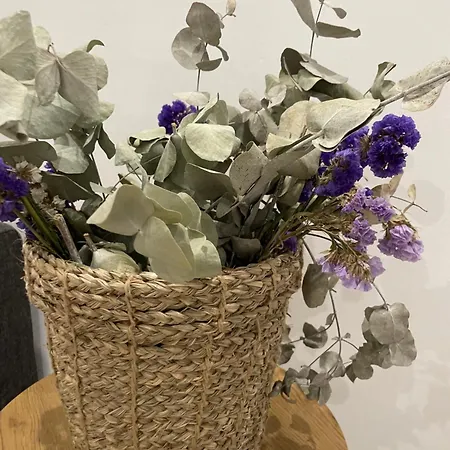 Taima Flats 1 * Alicante